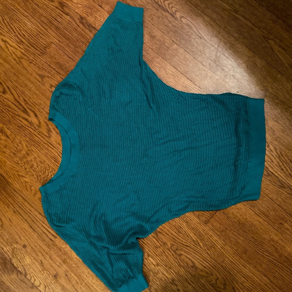 Express mesh sweater teal xs